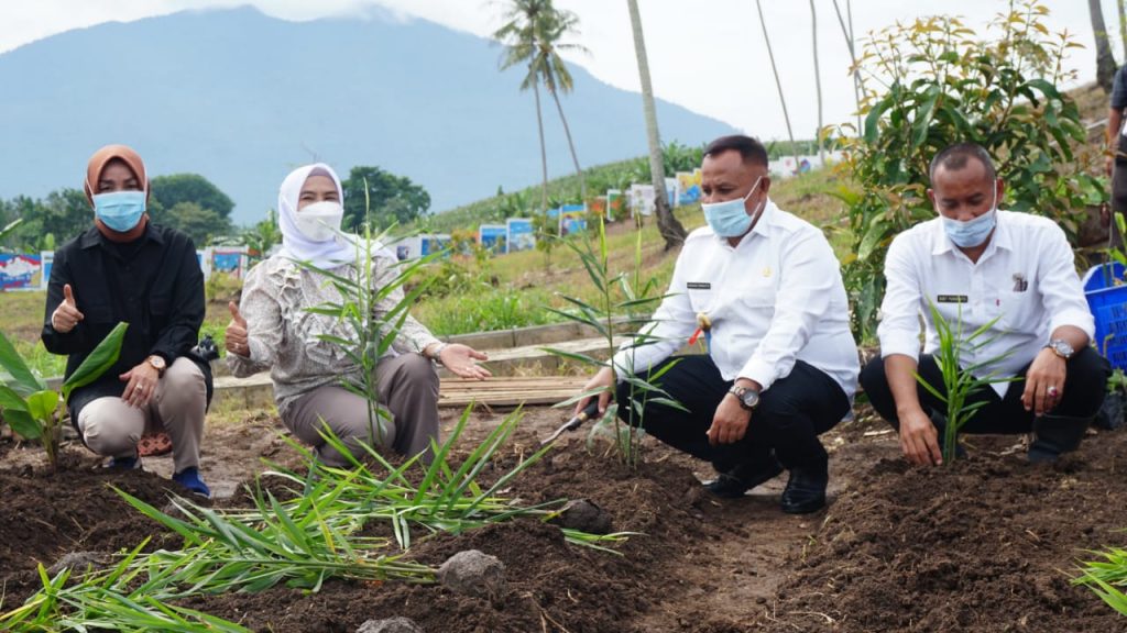 Bupati Tanam 150 Jenis Tanaman Toga Untuk Pengembangan Kebun Edukasi