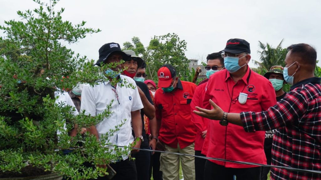 Ajak Masyarakat Peduli Lingkungan, Bupati Nanang Bersama Ketua Komisi IV DPR RI Tanam Mangrove